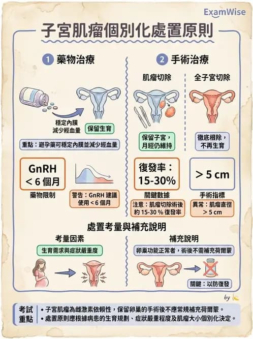護理師 - 不孕症月經與更年期 - AI 圖文解析預覽