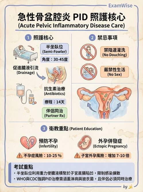 護理師 - 婦科腫瘤與感染 - AI 圖文解析預覽
