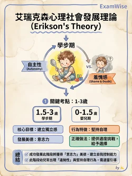 護理師 - 兒童心理社會發展與遊戲 - AI 圖文解析預覽