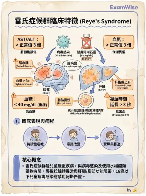 護理師 - 兒童神經肌肉骨骼疾病 - AI 圖文解析預覽