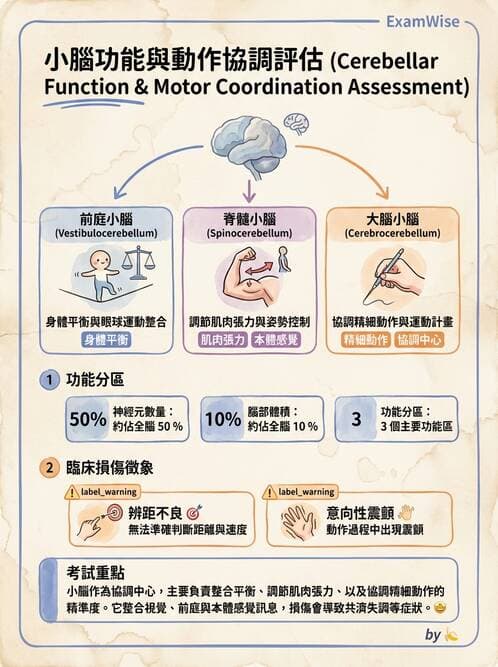 護理師 - 兒童生長發展與評估 - AI 圖文解析預覽