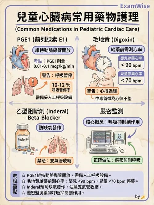 護理師 - 兒童循環系統疾病 - AI 圖文解析預覽