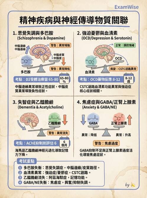 護理師 - 精神科藥物與生物治療 - AI 圖文解析預覽