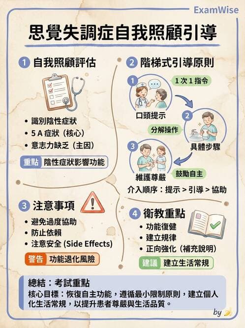 護理師 - 思覺失調症護理 - AI 圖文解析預覽