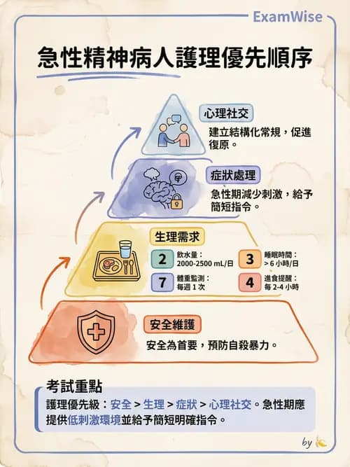 護理師 - 思覺失調症護理 - AI 圖文解析預覽