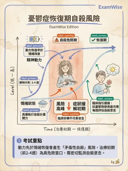 護理師 - 憂鬱症與自殺防治 - AI 圖文解析預覽