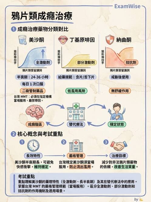護理師 - 物質相關與成癮障礙 - AI 圖文解析預覽