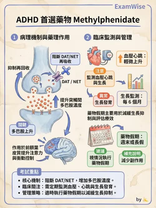 護理師 - 兒童青少年精神疾患 - AI 圖文解析預覽