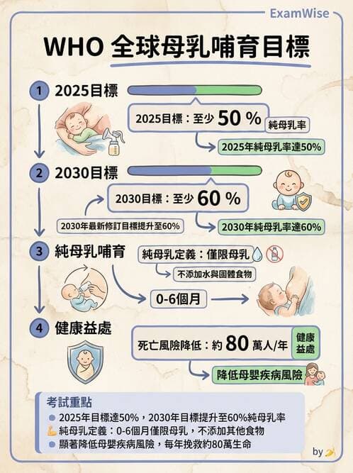 護理師 - 婦幼與青少年健康 - AI 圖文解析預覽