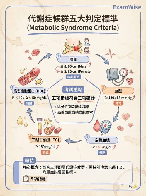 護理師 - 慢性病防治 - AI 圖文解析預覽