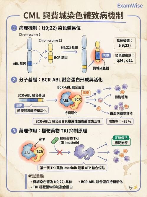 護理師 - 腫瘤及遺傳疾病 - AI 圖文解析預覽