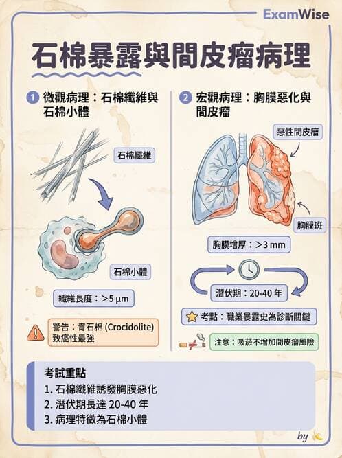 護理師 - 感染及環境疾病 - AI 圖文解析預覽
