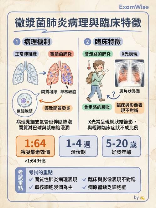 護理師 - 感染及環境疾病 - AI 圖文解析預覽