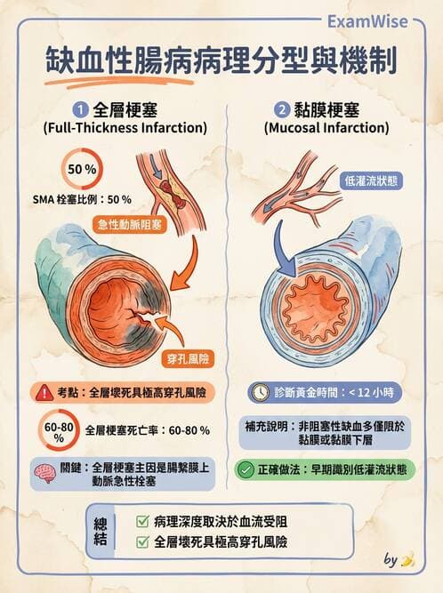 護理師 - 呼吸、循環系統 - AI 圖文解析預覽
