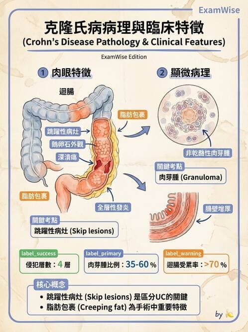 護理師 - 消化及肝膽/胰系統 - AI 圖文解析預覽