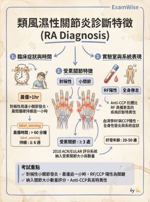 護理師 - 骨骼肌肉系統 - AI 圖文解析預覽