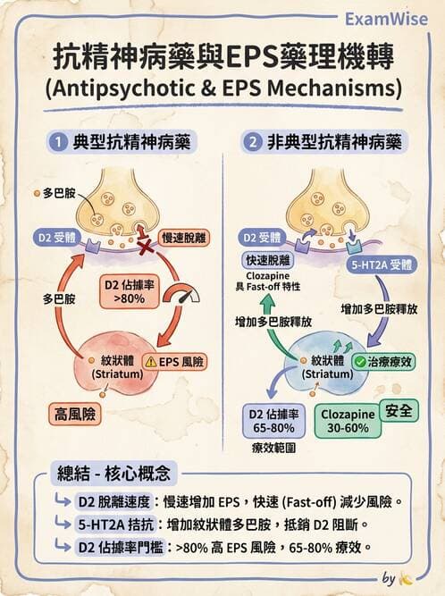 護理師 - 精神科藥物 - AI 圖文解析預覽
