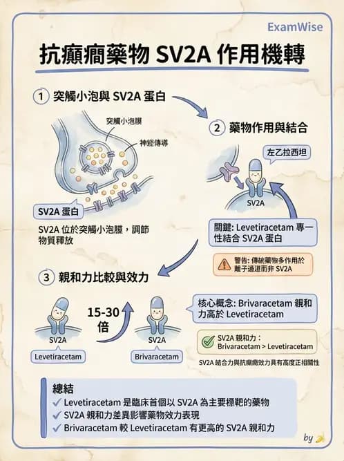 護理師 - 鎮痛、麻醉與神經科藥物 - AI 圖文解析預覽