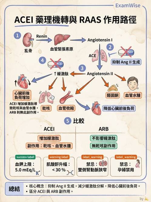 護理師 - 抗高血壓與血管藥物 - AI 圖文解析預覽