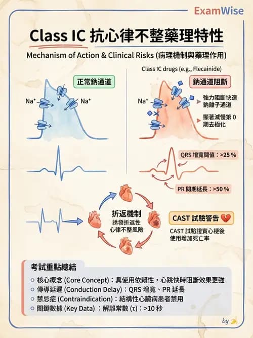 護理師 - 心臟藥物與抗血栓劑 - AI 圖文解析預覽