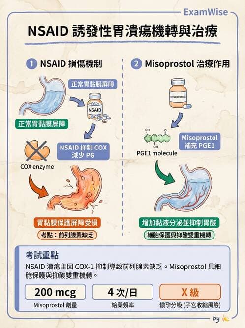 護理師 - 呼吸道及胃腸道作用藥物 - AI 圖文解析預覽