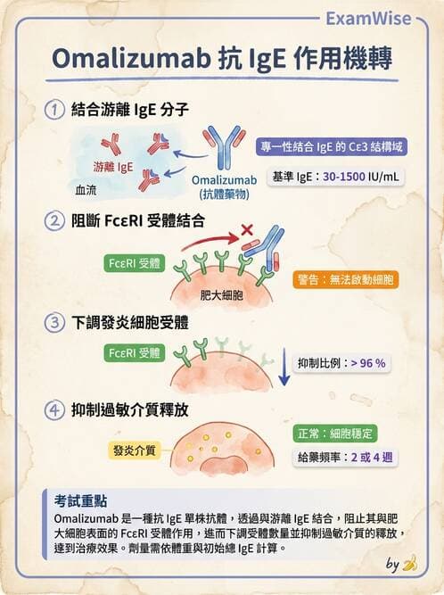 護理師 - 化學治療與免疫調節藥物 - AI 圖文解析預覽