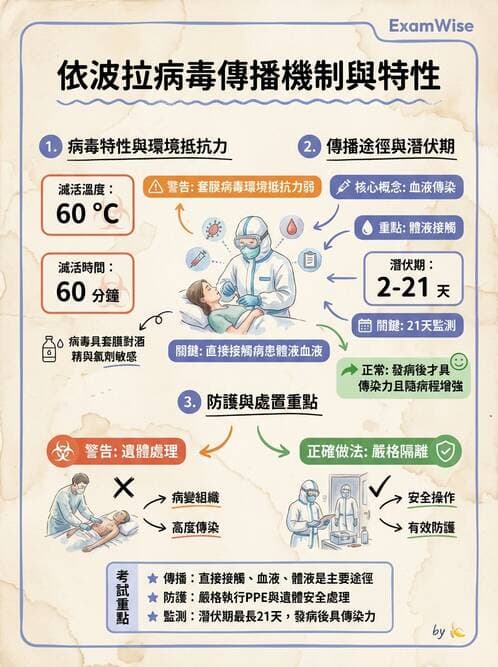 護理師 - RNA 病毒、新興病毒 - AI 圖文解析預覽