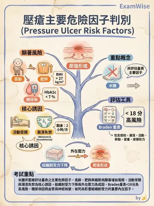 護理師 - 運動功能與傷口護理 - AI 圖文解析預覽