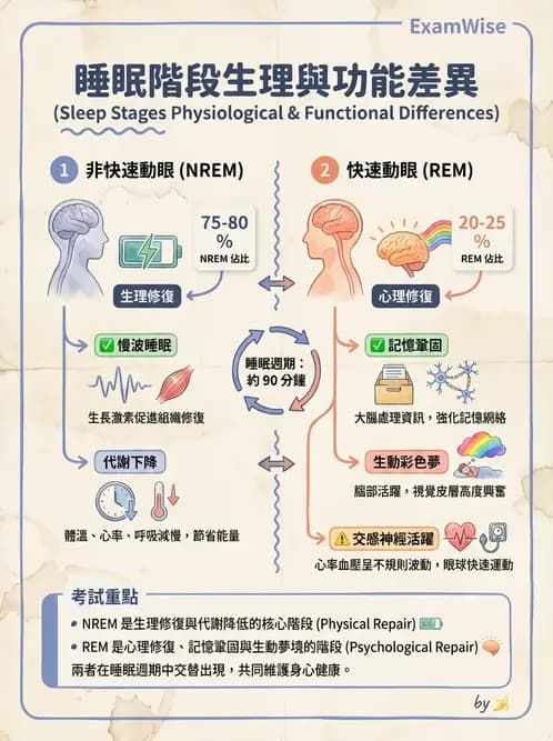 護理師 - 個人衛生與舒適照護 - AI 圖文解析預覽