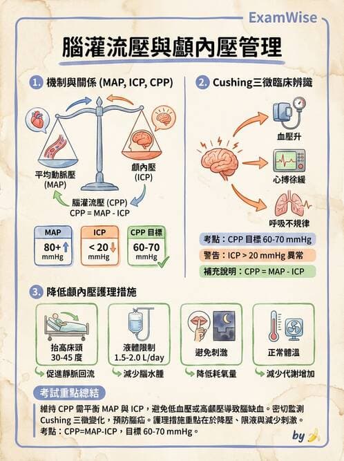 護理師 - 顱內壓升高與頭部外傷 - AI 圖文解析預覽