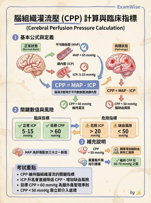 護理師 - 顱內壓升高與頭部外傷 - AI 圖文解析預覽