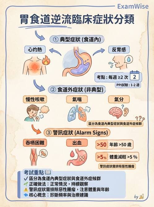 護理師 - 上消化道疾病 - AI 圖文解析預覽