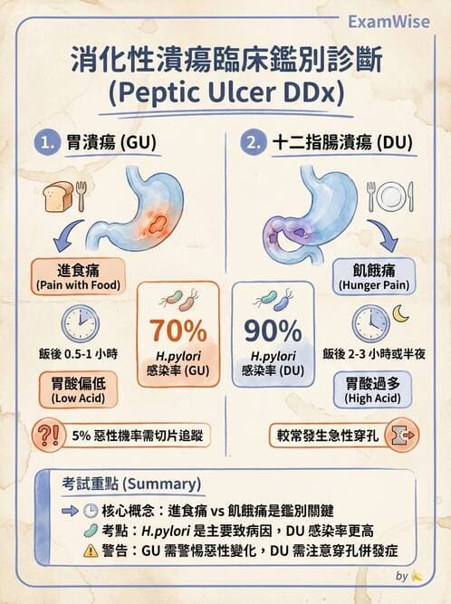 護理師 - 上消化道疾病 - AI 圖文解析預覽