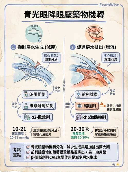 護理師 - 眼科疾病 - AI 圖文解析預覽