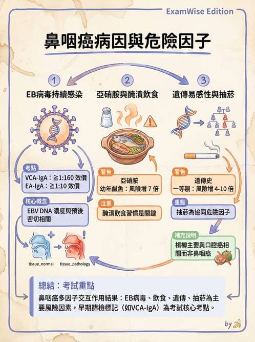 護理師 - 其他常見癌症護理 - AI 圖文解析預覽