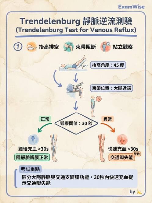 護理師 - 高血壓與周邊血管疾病 - AI 圖文解析預覽