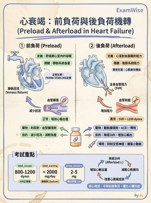護理師 - 心臟衰竭與心律不整 - AI 圖文解析預覽
