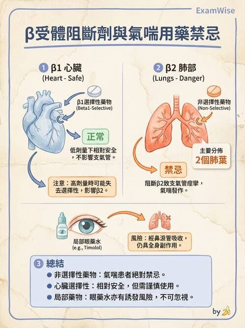 護理師 - 高血壓與周邊血管疾病 - AI 圖文解析預覽