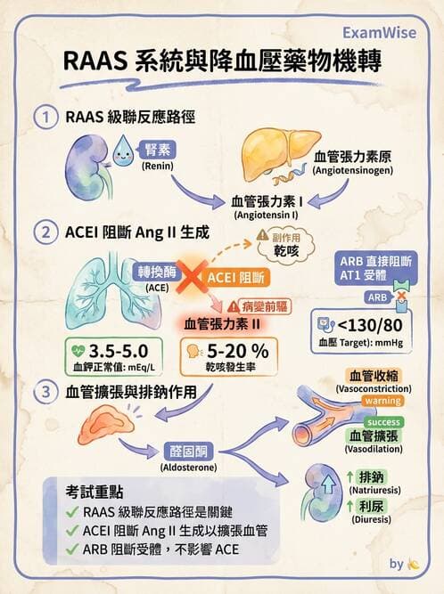 護理師 - 高血壓與周邊血管疾病 - AI 圖文解析預覽