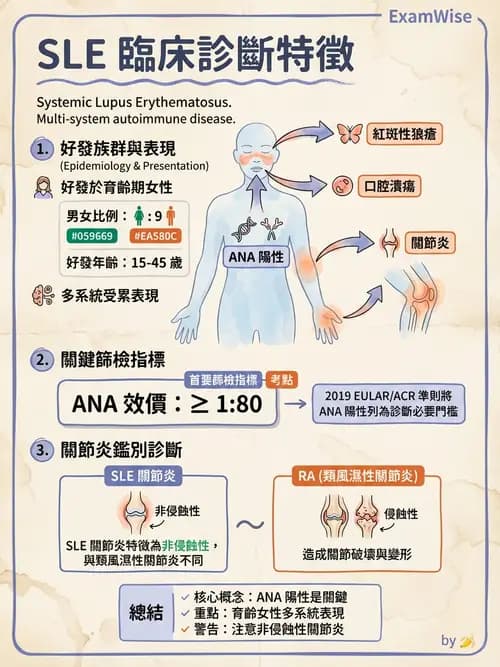 護理師 - 自體免疫疾病與過敏反應 - AI 圖文解析預覽