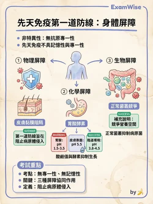 護理師 - 自體免疫疾病與過敏反應 - AI 圖文解析預覽