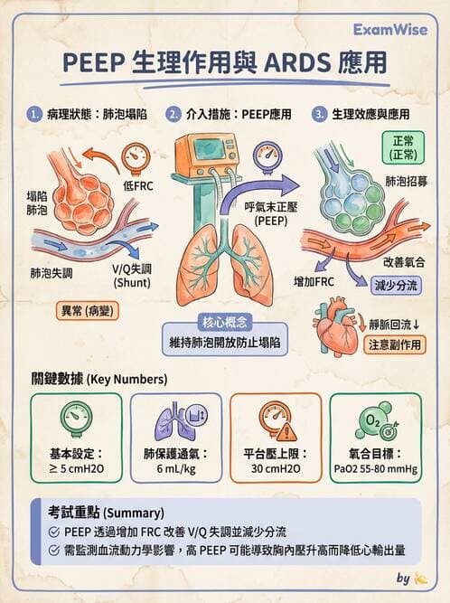 護理師 - 呼吸衰竭與胸腔護理 - AI 圖文解析預覽