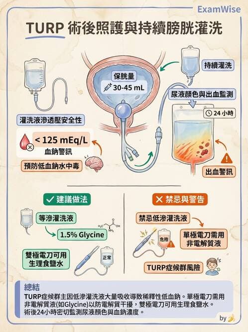護理師 - 泌尿道疾病與排尿障礙 - AI 圖文解析預覽