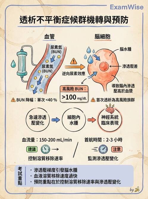 護理師 - 透析、電解質與酸鹼平衡 - AI 圖文解析預覽