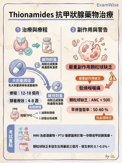 護理師 - 甲狀腺與副甲狀腺疾病 - AI 圖文解析預覽