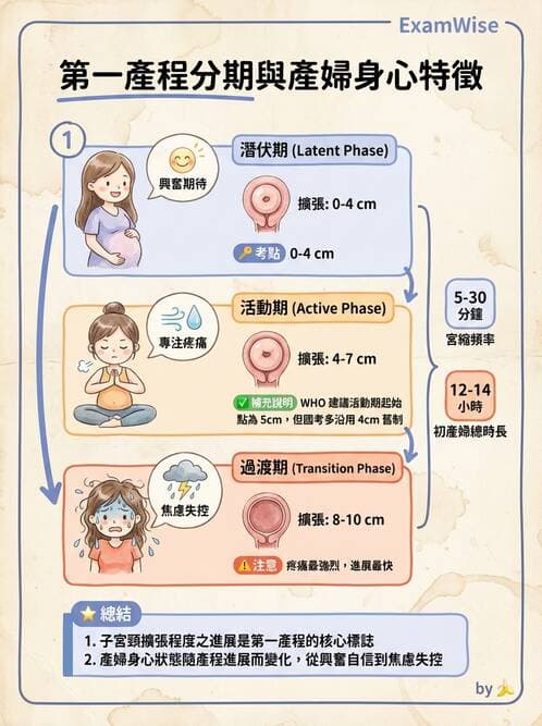 護理師 - 產程機轉與待產護理 - AI 圖文解析預覽