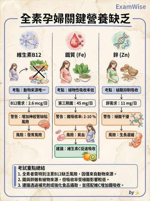 護理師 - 孕期營養心理與衛生政策 - AI 圖文解析預覽