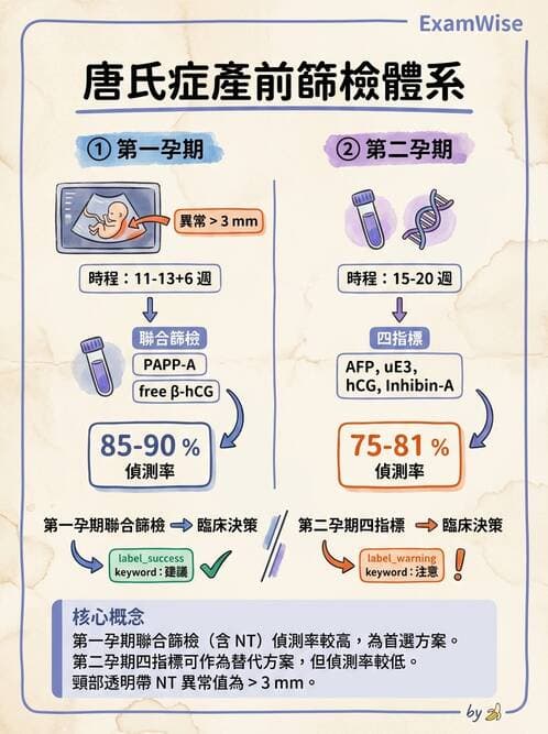 護理師 - 產前篩檢與遺傳診斷 - AI 圖文解析預覽