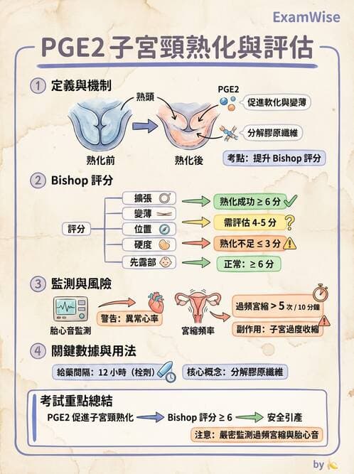 護理師 - 產程機轉與待產護理 - AI 圖文解析預覽