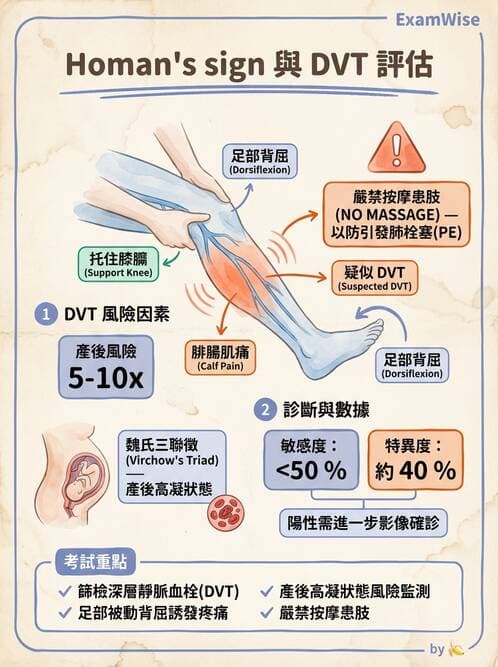 護理師 - 產後生理恢復與護理 - AI 圖文解析預覽